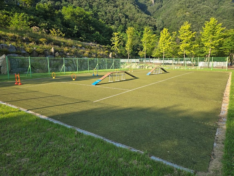 정선군생태체험학습장야영장 펫 동반 캠핑장 시설 사진 102