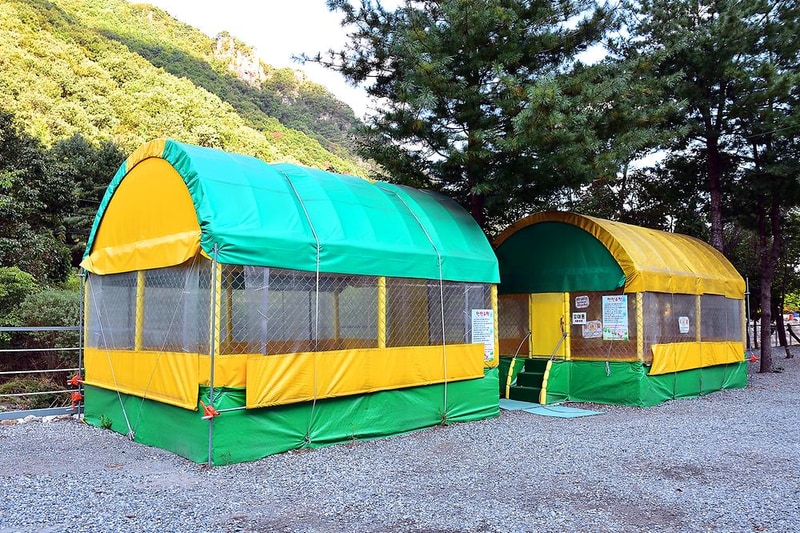 하얀숲 오토&글램핑 시설 사진 5