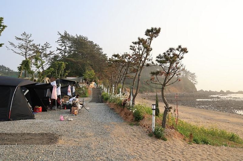 파도와노을캠핑장 대표 사진
