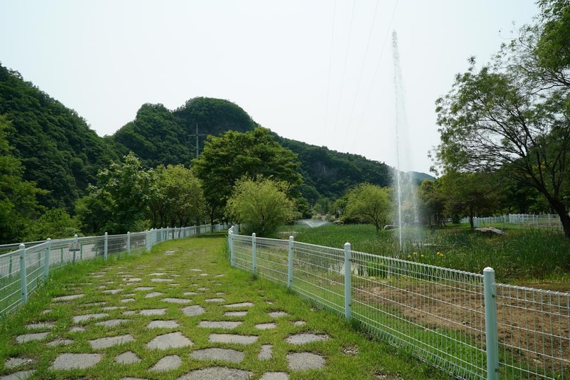 정선군생태체험학습장야영장 펫 동반 캠핑장 시설 사진 38
