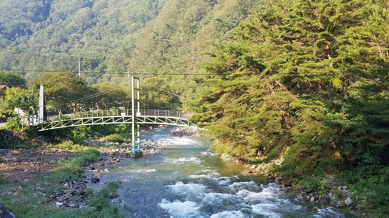 영월아트앤캠프장 시설 사진 21