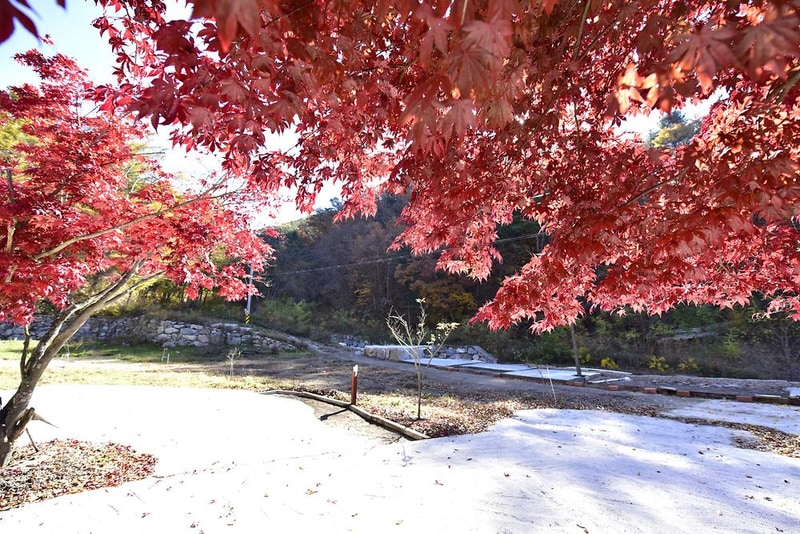 융프라우오토캠핑장 시설 사진 6