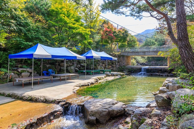 심천치유자연휴양림야영장 시설 사진 9