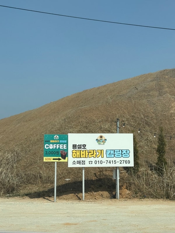 용설호 해바라기캠핑장