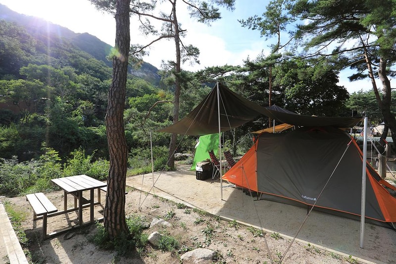 월악산국립공원 닷돈재자동차야영장 시설 사진 16