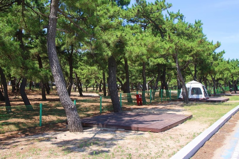 지경국민여가캠핑장 시설 사진 1