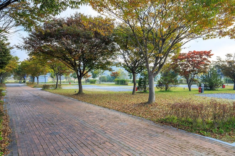 충주 목계솔밭 캠핑장 시설 사진 9