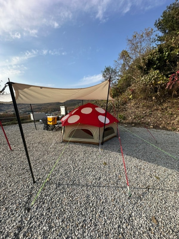 자연과 숲 대표 사진