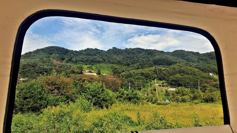 Lazy Joe 시설 사진 26