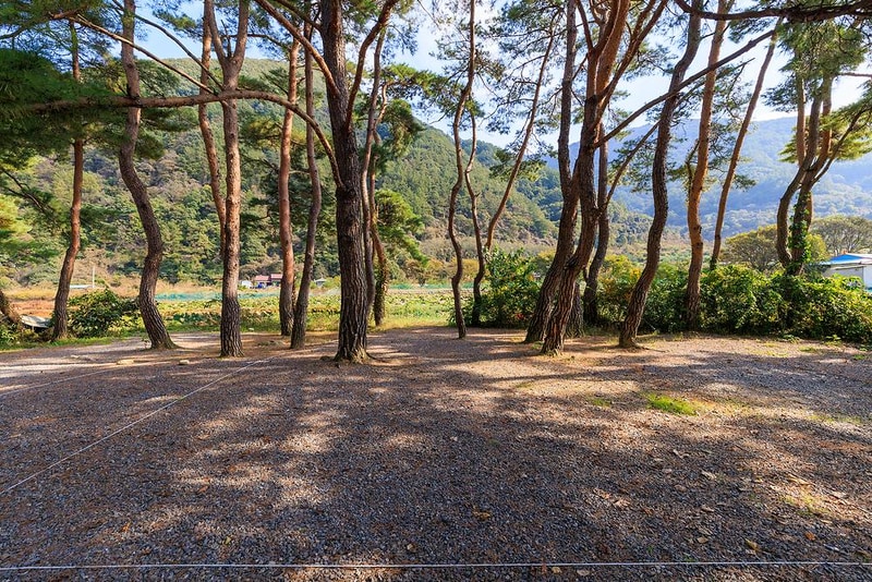 월악산억수솔밭캠핑장 시설 사진 1