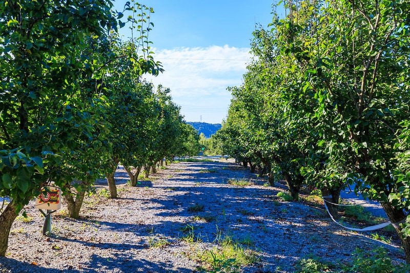 팜앤투어 캠핑장 시설 사진 16
