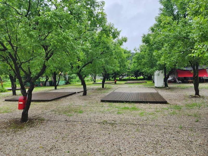 약사밤나무집 캠핑장 대표 사진