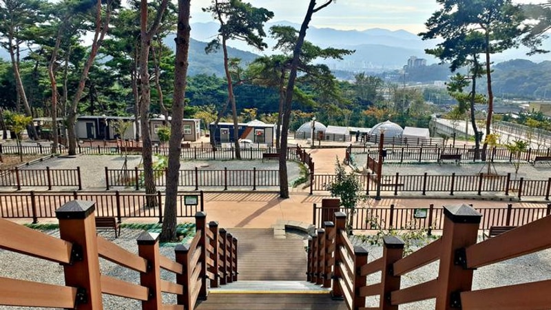 교룡공원 숲속야영장