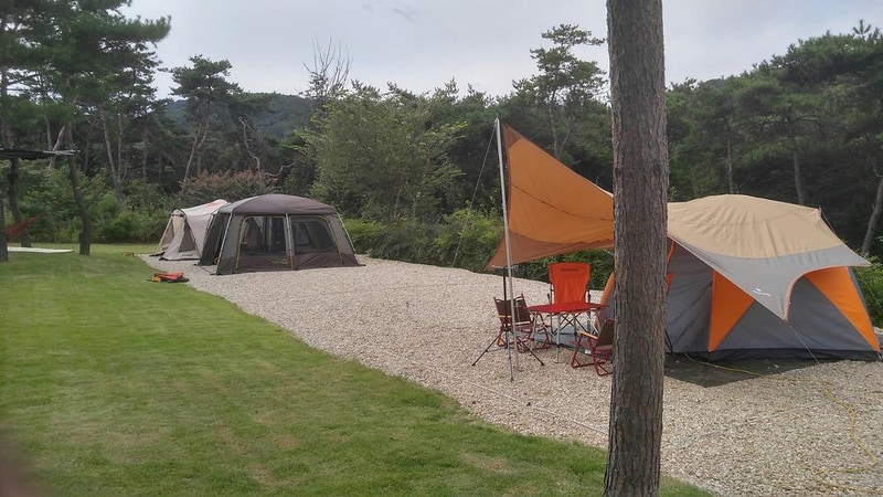 숲속의베리팜 시설 사진 33