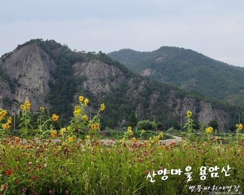 삼척캠핑장, 병풍바위야영장에서 마주한 자연의 서정