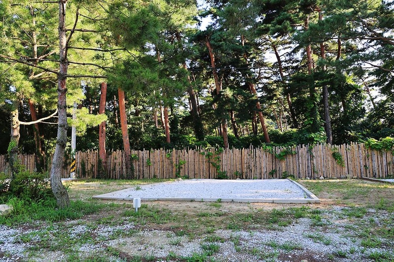 342 camp 시설 사진 17