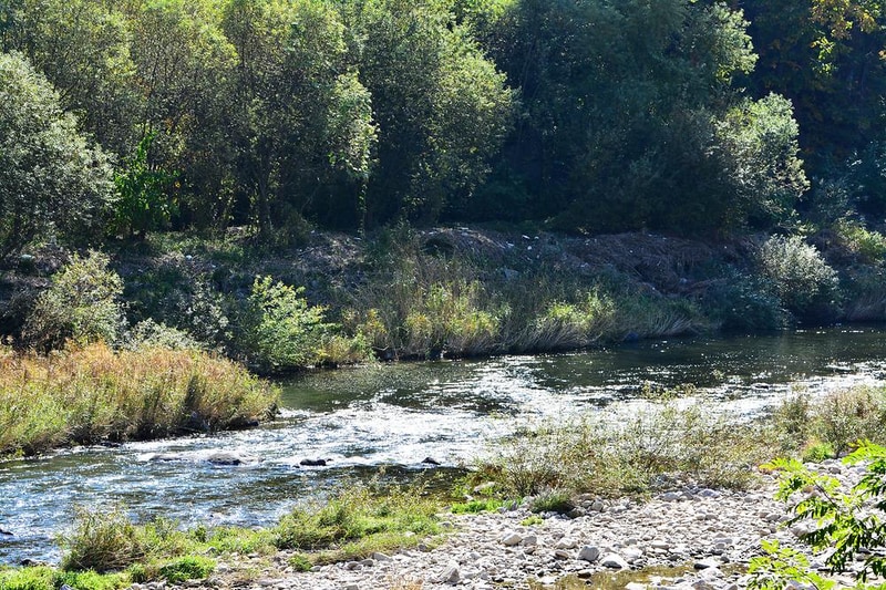 힐링가평오토캠핑장 시설 사진 17