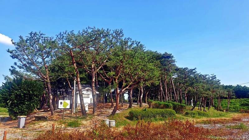 소풍정원 캠핑장 시설 사진 35