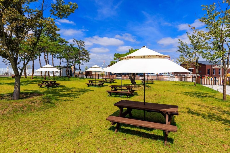 의성펫월드 오토캠핑장 시설 사진 11