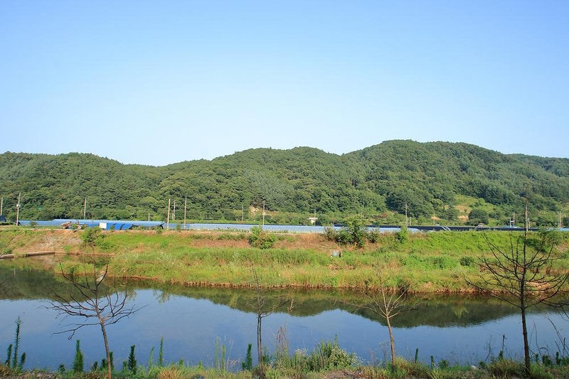 꿈꾸는 시계 시설 사진 14