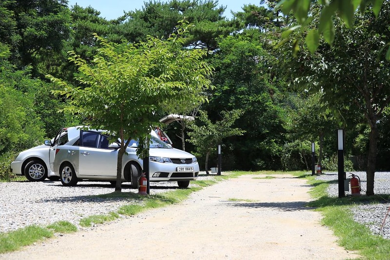 문라이트캠핑장 시설 사진 19
