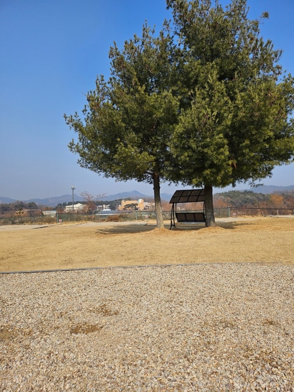 초정힐링캠핑장