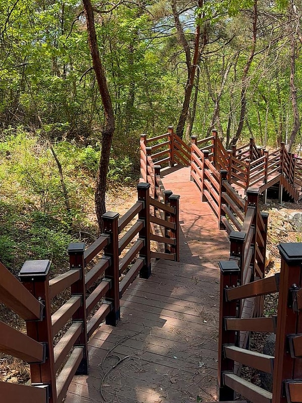 의성단밀숲속야영장