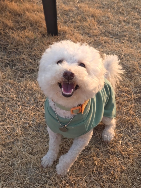 오수의견 국민여가캠핑장