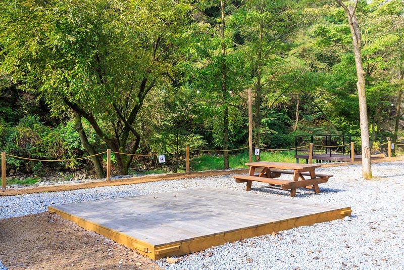 포레스트힐링캠프 시설 사진 15