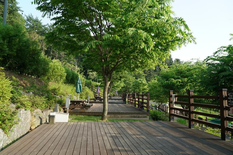 소요별앤숲테마파크 시설 사진 18