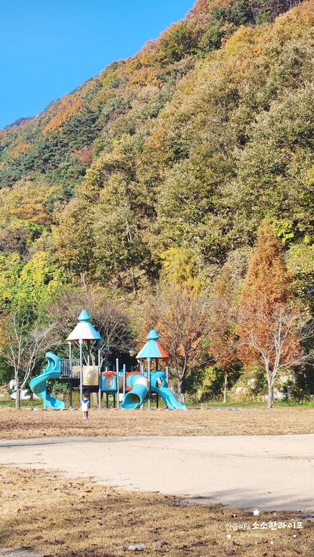 벽계야영장