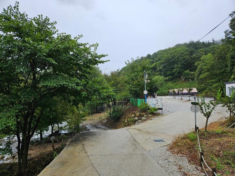 월성자연캠핑야영장 시설 사진 2