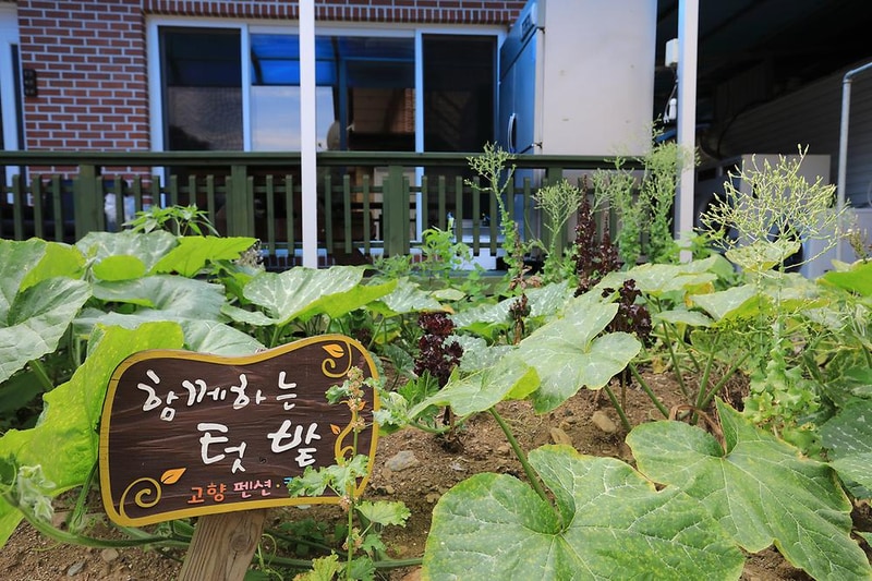 고향펜션캠핑 시설 사진 1