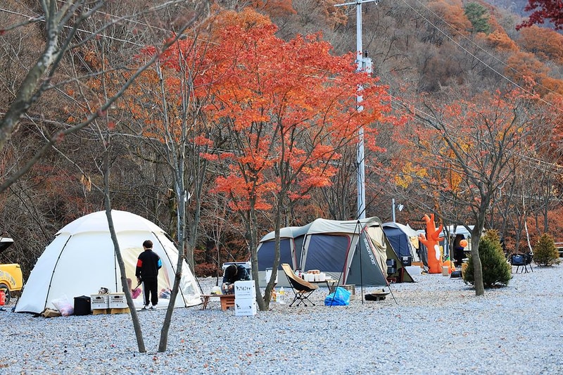 화기애애 단풍 캠핑장 시설 사진 2