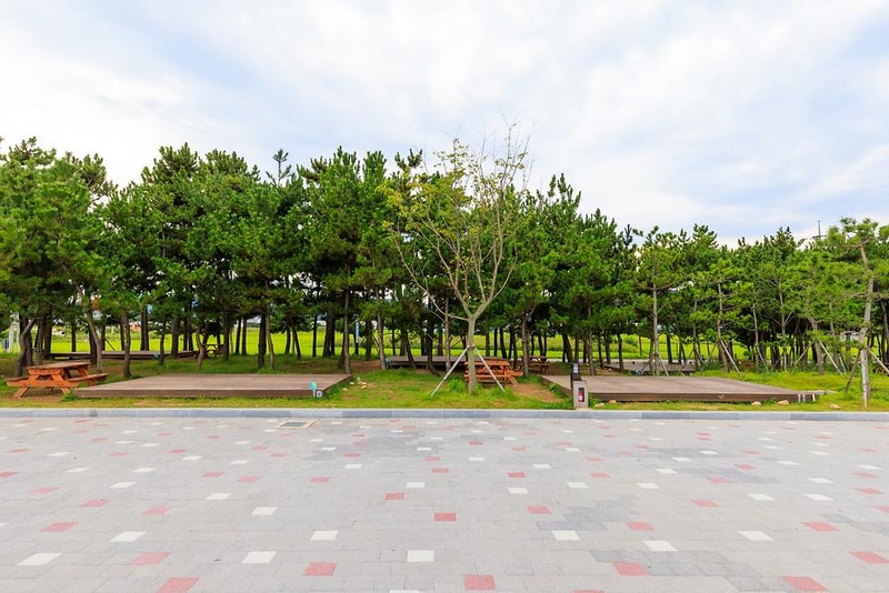 염전해변캠핑장 시설 사진 5