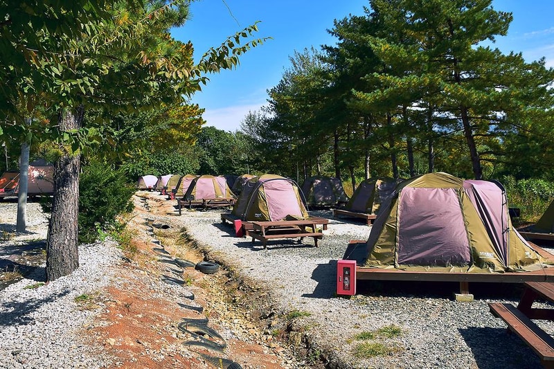 포천자연마을 서울캠핑장 시설 사진 4