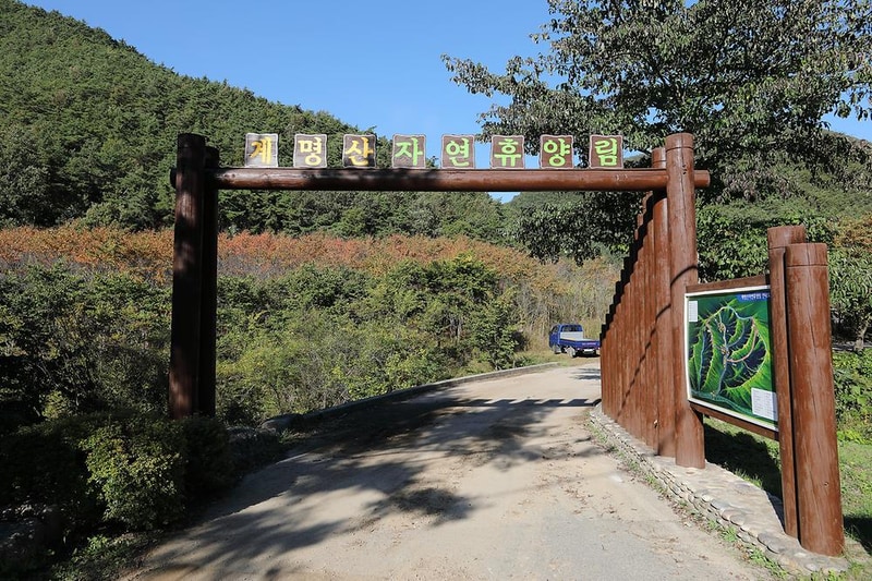 계명산자연휴양림 야영장 시설 사진 20