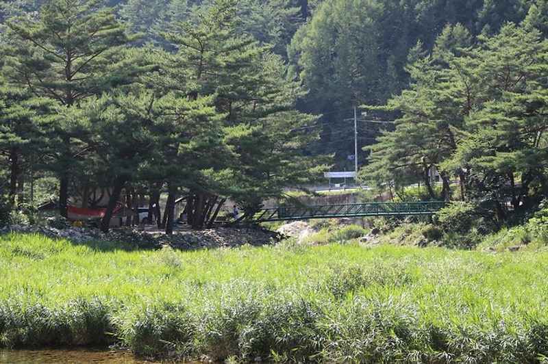 정든 캠핑장 대표 사진
