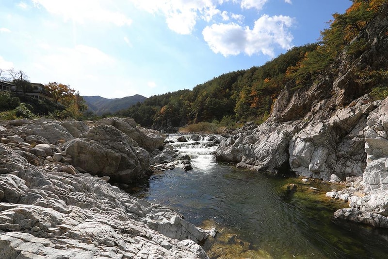 왕피천모래언덕 펜션/캠핑장 시설 사진 2
