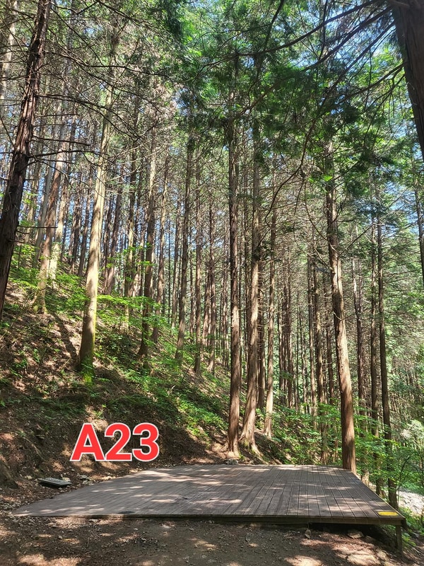 편백힐 치유의숲 야영장 시설 사진 2