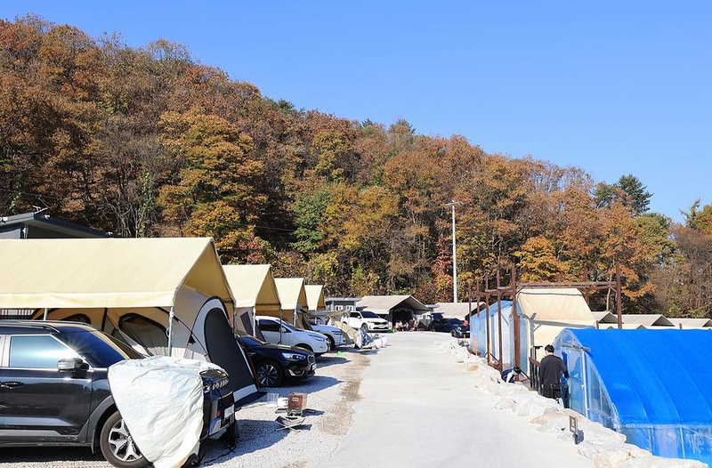 숲속의쉼터 키즈 시설 사진 11