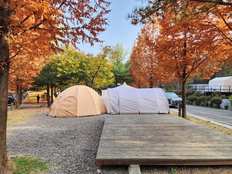 김포캠핑파크 주식회사 시설 사진 20