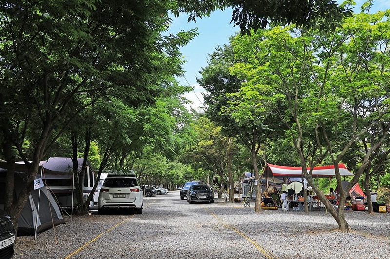 맑은물소리캠핑장 시설 사진 31