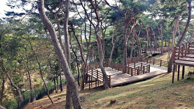 교룡공원 숲속야영장 시설 사진 32