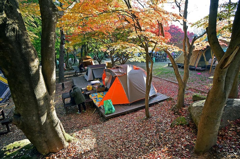 월출산국립공원 천황야영장 시설 사진 6