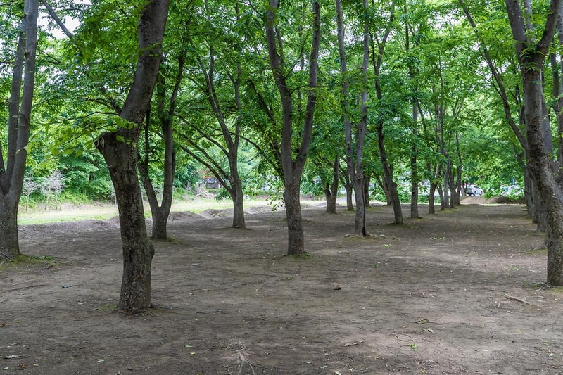 금관숲캠핑장 시설 사진 8