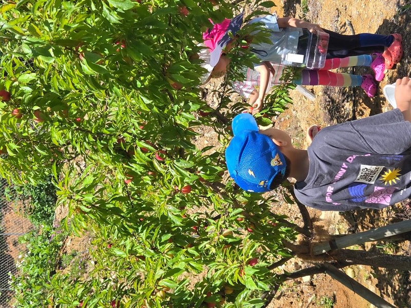 고성동화캠핑 시설 사진 9