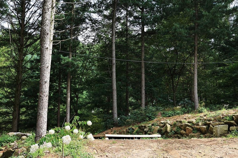 노섬브리아 야영장 시설 사진 9