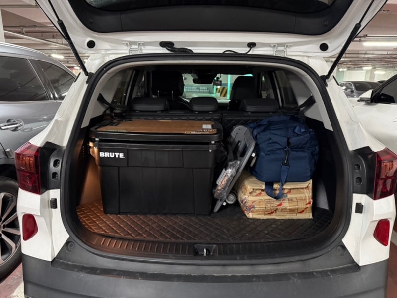 평화강변수목 캠핑장