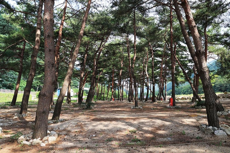 한계2리 솔밭야영장 시설 사진 19